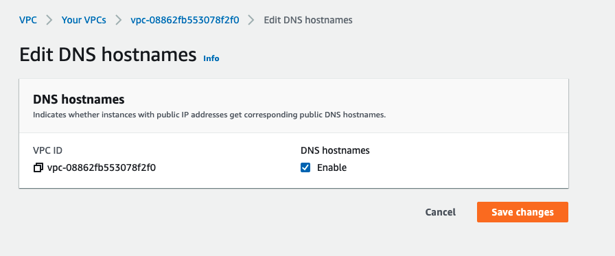 DNS host names